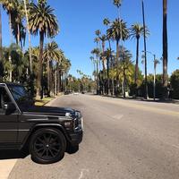 Отзыв от Николай - Виза Destination Thailand